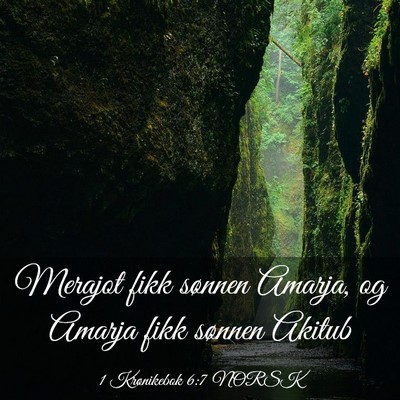Picture 03 - 1 Krønikebok 6:7 NORSK - Merajot fikk sønnen Amarja, og Amarja fikk - Bible Verse Picture