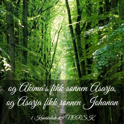 Picture 03 - 1 Krønikebok 6:9 NORSK - og Akima's fikk sønnen Asarja, og Asarja fikk - Bible Verse Picture