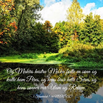 Picture 03 - 1 Krønikebok 7:16 NORSK - Og Makirs hustru Ma'ka fødte en sønn og kalte - Bible Verse Picture