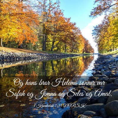Picture 03 - 1 Krønikebok 7:35 NORSK - Og hans bror Helems sønner var Sofah og Jimna og - Bible Verse Picture