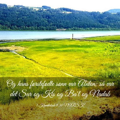 Picture 03 - 1 Krønikebok 8:30 NORSK - Og hans førstefødte sønn var Abdon; så var - Bible Verse Picture