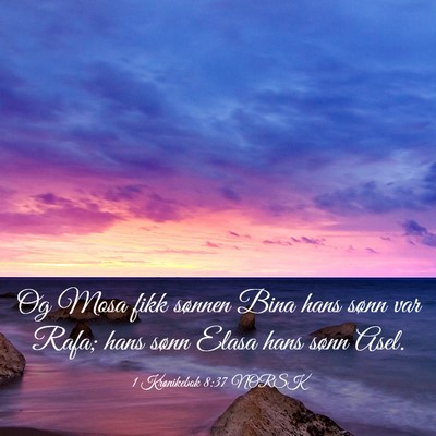 Picture 03 - 1 Krønikebok 8:37 NORSK - Og Mosa fikk sønnen Bina hans sønn var Rafa; - Bible Verse Picture