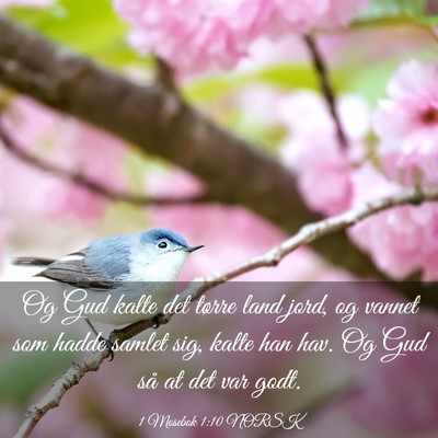 Picture 03 - 1 Mosebok 1:10 NORSK - Og Gud kalte det tørre land jord, og vannet som - Bible Verse Picture