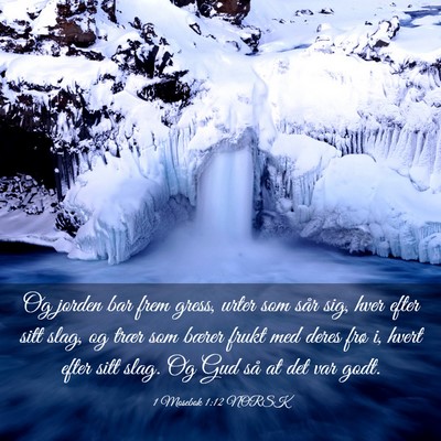 Picture 03 - 1 Mosebok 1:12 NORSK - Og jorden bar frem gress, urter som sår sig, - Bible Verse Picture