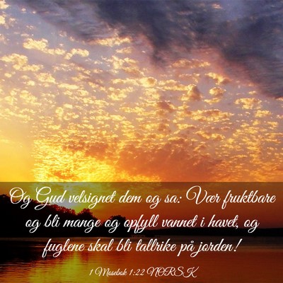 Picture 03 - 1 Mosebok 1:22 NORSK - Og Gud velsignet dem og sa: Vær fruktbare og bli - Bible Verse Picture
