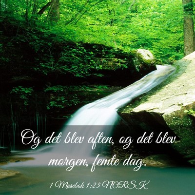Picture 03 - 1 Mosebok 1:23 NORSK - Og det blev aften, og det blev morgen, femte - Bible Verse Picture