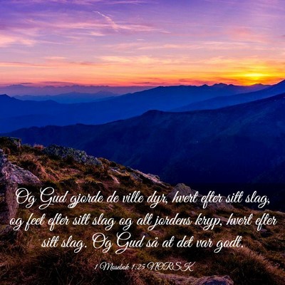 Picture 03 - 1 Mosebok 1:25 NORSK - Og Gud gjorde de ville dyr, hvert efter sitt - Bible Verse Picture