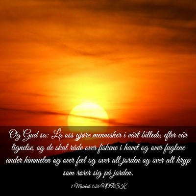 Picture 03 - 1 Mosebok 1:26 NORSK - Og Gud sa: La oss gjøre mennesker i vårt - Bible Verse Picture