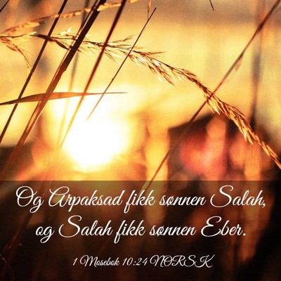 Picture 03 - 1 Mosebok 10:24 NORSK - Og Arpaksad fikk sønnen Salah, og Salah fikk - Bible Verse Picture