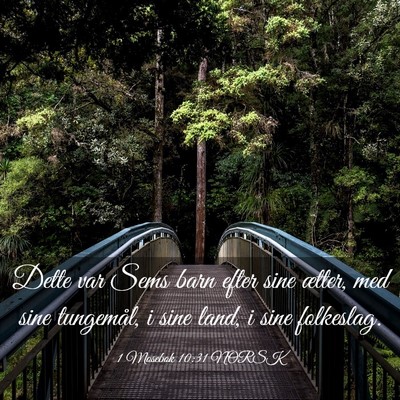 Picture 03 - 1 Mosebok 10:31 NORSK - Dette var Sems barn efter sine ætter, med sine - Bible Verse Picture