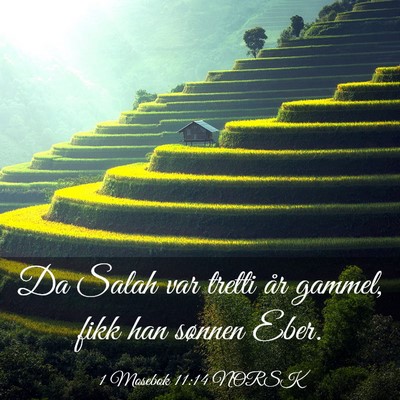 Picture 03 - 1 Mosebok 11:14 NORSK - Da Salah var tretti år gammel, fikk han sønnen - Bible Verse Picture