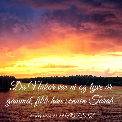 Picture 03 - 1 Mosebok 11:24 NORSK - Da Nakor var ni og tyve år gammel, fikk han - Bible Verse Picture