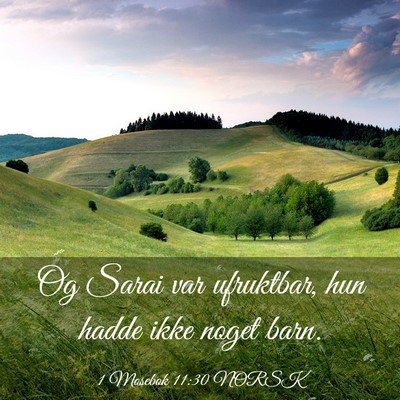 Picture 03 - 1 Mosebok 11:30 NORSK - Og Sarai var ufruktbar, hun hadde ikke noget - Bible Verse Picture