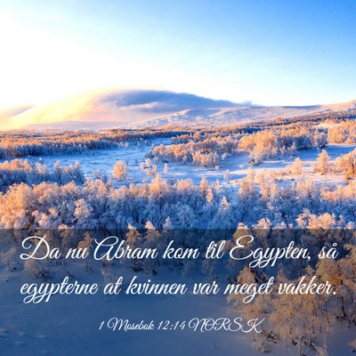 Picture 03 - 1 Mosebok 12:14 NORSK - Da nu Abram kom til Egypten, så egypterne at - Bible Verse Picture