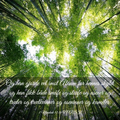 Picture 03 - 1 Mosebok 12:16 NORSK - Og han gjorde vel imot Abram for hennes skyld, og - Bible Verse Picture