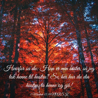 Picture 03 - 1 Mosebok 12:19 NORSK - Hvorfor sa du: Hun er min søster, så jeg tok - Bible Verse Picture