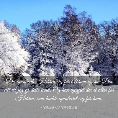 Picture 03 - 1 Mosebok 12:7 NORSK - Da åpenbarte Herren sig for Abram og sa: Din - Bible Verse Picture