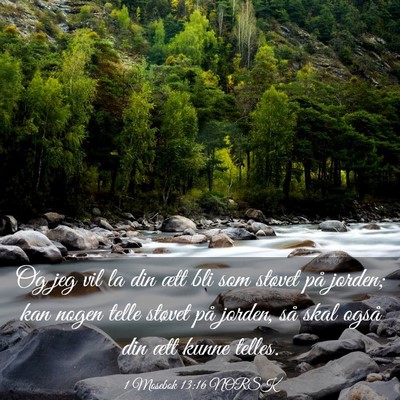 Picture 03 - 1 Mosebok 13:16 NORSK - Og jeg vil la din ætt bli som støvet på - Bible Verse Picture