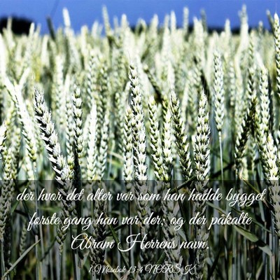 Picture 03 - 1 Mosebok 13:4 NORSK - der hvor det alter var som han hadde bygget - Bible Verse Picture