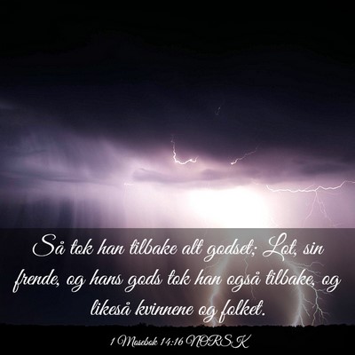 Picture 03 - 1 Mosebok 14:16 NORSK - Så tok han tilbake alt godset; Lot, sin frende, - Bible Verse Picture