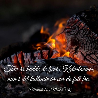 Picture 03 - 1 Mosebok 14:4 NORSK - Tolv år hadde de tjent Kedorlaomer, men i det - Bible Verse Picture