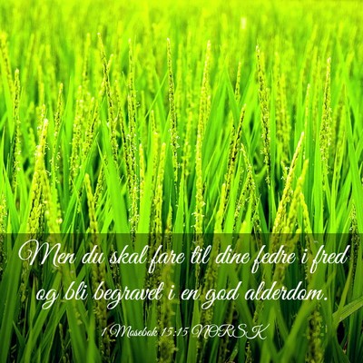 Picture 03 - 1 Mosebok 15:15 NORSK - Men du skal fare til dine fedre i fred og bli - Bible Verse Picture