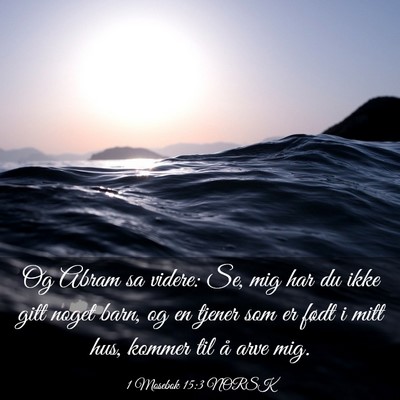 Picture 03 - 1 Mosebok 15:3 NORSK - Og Abram sa videre: Se, mig har du ikke gitt - Bible Verse Picture
