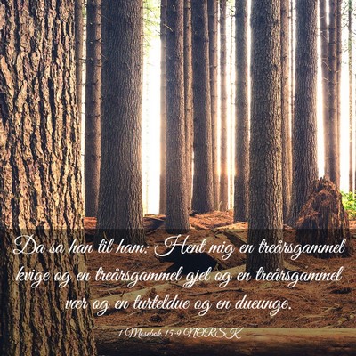 Picture 03 - 1 Mosebok 15:9 NORSK - Da sa han til ham: Hent mig en treårsgammel - Bible Verse Picture