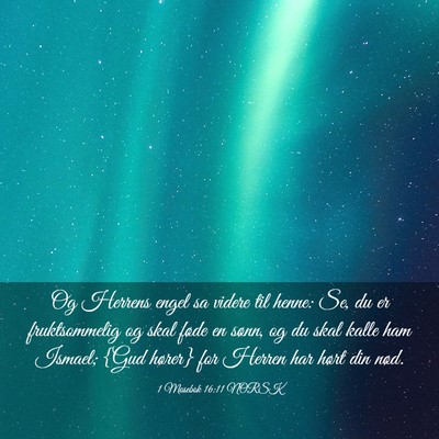 Picture 03 - 1 Mosebok 16:11 NORSK - Og Herrens engel sa videre til henne: Se, du er - Bible Verse Picture