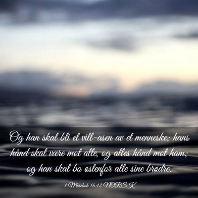 Picture 03 - 1 Mosebok 16:12 NORSK - Og han skal bli et vill-asen av et menneske; hans - Bible Verse Picture