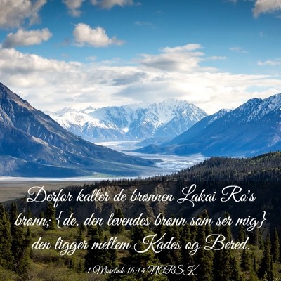 Picture 03 - 1 Mosebok 16:14 NORSK - Derfor kaller de brønnen Lakai Ro's brønn; {de. - Bible Verse Picture
