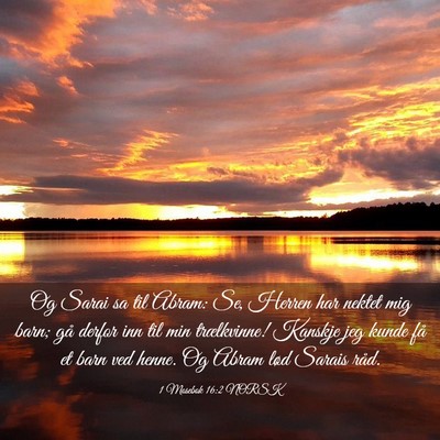 Picture 03 - 1 Mosebok 16:2 NORSK - Og Sarai sa til Abram: Se, Herren har nektet mig - Bible Verse Picture