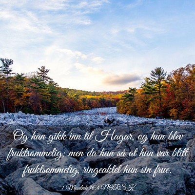 Picture 03 - 1 Mosebok 16:4 NORSK - Og han gikk inn til Hagar, og hun blev - Bible Verse Picture