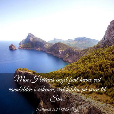 Picture 03 - 1 Mosebok 16:7 NORSK - Men Herrens engel fant henne ved vannkilden i - Bible Verse Picture