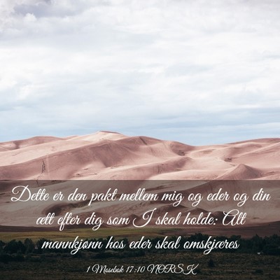 Picture 03 - 1 Mosebok 17:10 NORSK - Dette er den pakt mellem mig og eder og din ætt - Bible Verse Picture