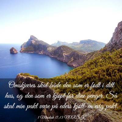 Picture 03 - 1 Mosebok 17:13 NORSK - Omskjæres skal både den som er født i ditt - Bible Verse Picture