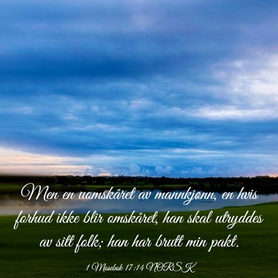 Picture 03 - 1 Mosebok 17:14 NORSK - Men en uomskåret av mannkjønn, en hvis forhud - Bible Verse Picture