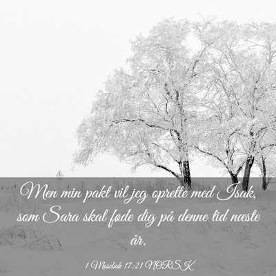 Picture 03 - 1 Mosebok 17:21 NORSK - Men min pakt vil jeg oprette med Isak, som Sara - Bible Verse Picture