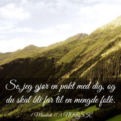 Picture 03 - 1 Mosebok 17:4 NORSK - Se, jeg gjør en pakt med dig, og du skal bli far - Bible Verse Picture
