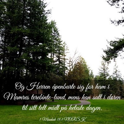 Picture 03 - 1 Mosebok 18:1 NORSK - Og Herren åpenbarte sig for ham i Mamres - Bible Verse Picture