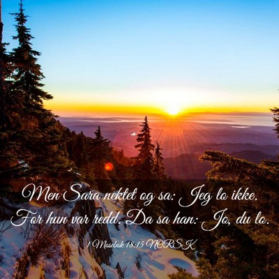 Picture 03 - 1 Mosebok 18:15 NORSK - Men Sara nektet og sa: Jeg lo ikke. For hun var - Bible Verse Picture