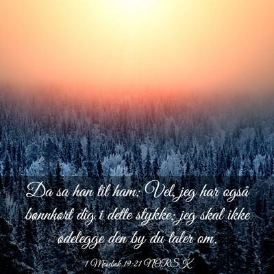 Picture 03 - 1 Mosebok 19:21 NORSK - Da sa han til ham: Vel, jeg har også bønnhørt - Bible Verse Picture