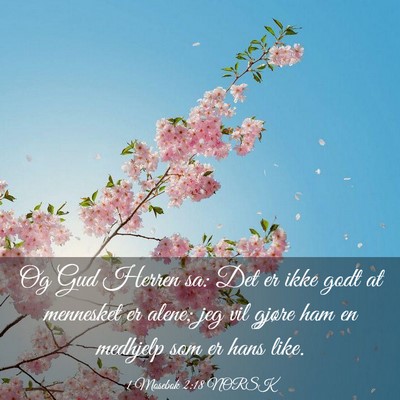 Picture 03 - 1 Mosebok 2:18 NORSK - Og Gud Herren sa: Det er ikke godt at mennesket - Bible Verse Picture