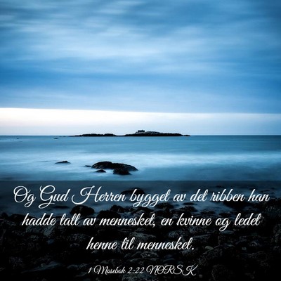 Picture 03 - 1 Mosebok 2:22 NORSK - Og Gud Herren bygget av det ribben han hadde tatt - Bible Verse Picture