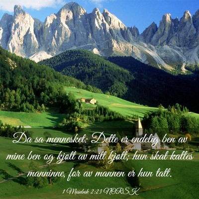 Picture 03 - 1 Mosebok 2:23 NORSK - Da sa mennesket: Dette er endelig ben av mine ben - Bible Verse Picture
