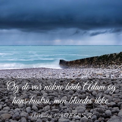 Picture 03 - 1 Mosebok 2:25 NORSK - Og de var nakne både Adam og hans hustru, men - Bible Verse Picture