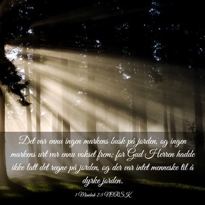Picture 03 - 1 Mosebok 2:5 NORSK - Det var ennu ingen markens busk på jorden, og - Bible Verse Picture