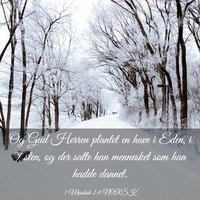 Picture 03 - 1 Mosebok 2:8 NORSK - Og Gud Herren plantet en have i Eden, i ¥sten, - Bible Verse Picture