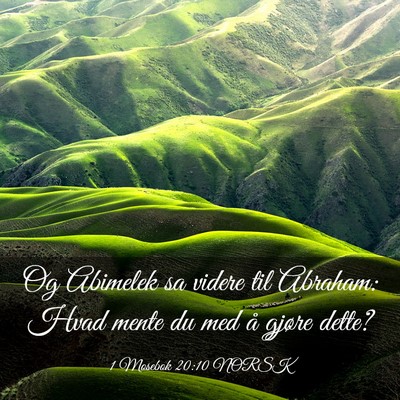 Picture 03 - 1 Mosebok 20:10 NORSK - Og Abimelek sa videre til Abraham: Hvad mente du - Bible Verse Picture