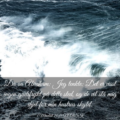 Picture 03 - 1 Mosebok 20:11 NORSK - Da sa Abraham: Jeg tenkte: Det er visst ingen - Bible Verse Picture